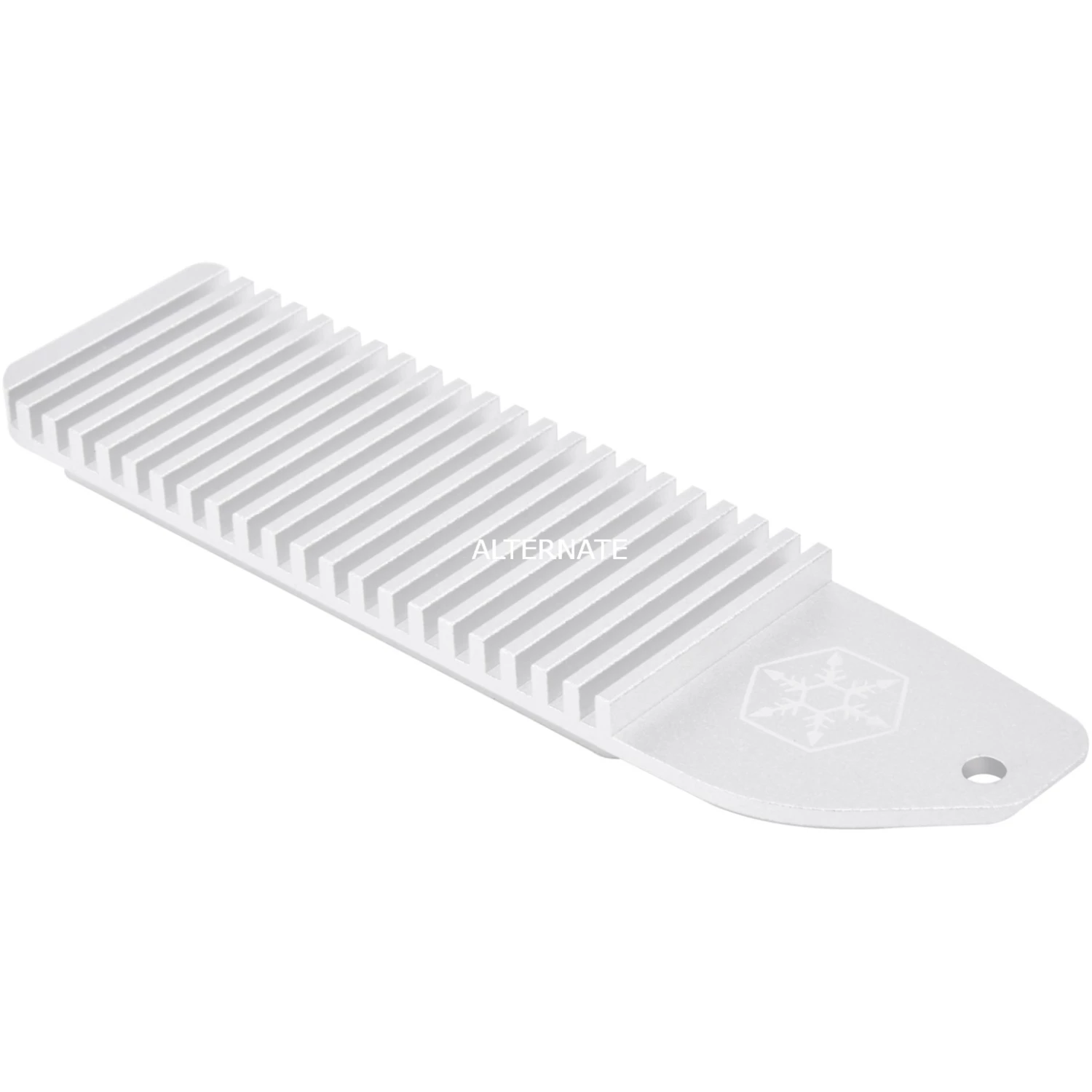 Festplattenkühler SilverStone TP06, Kühlkörper (silber, Für Playstation 5) 5 Festplattenkühler SilverStone TP06, Kühlkörper (silber, Für Playstation 5) – Bild 5